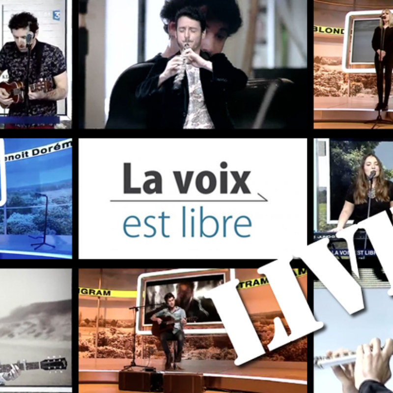 portfolio_lvel_live